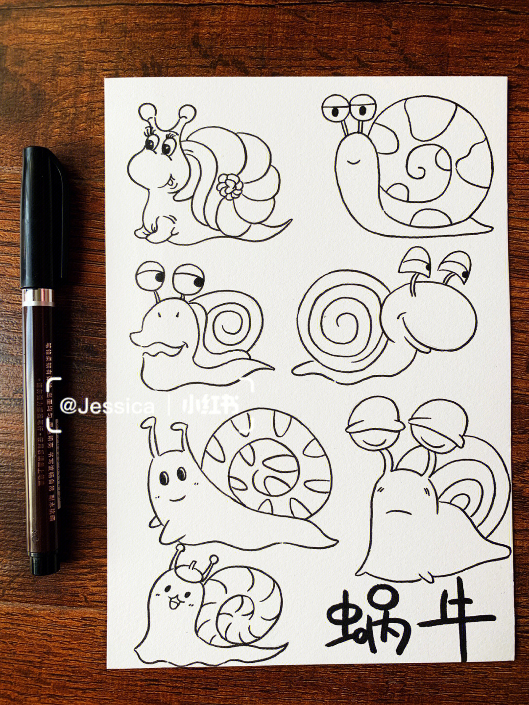 可爱蜗牛手帐手绘简笔画素材黑白线稿上色图