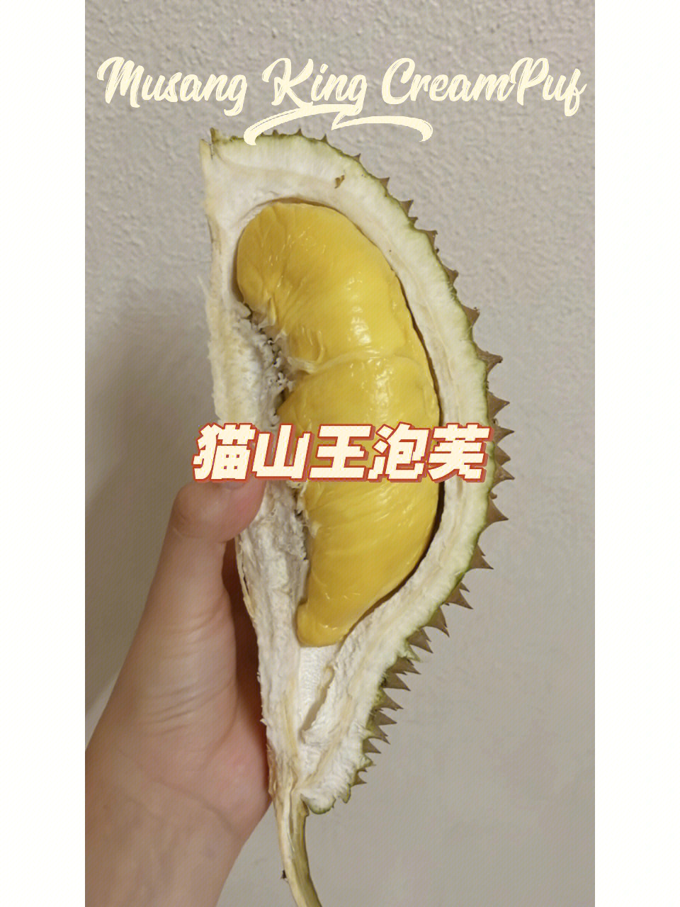 王泡芙是什么品种图片