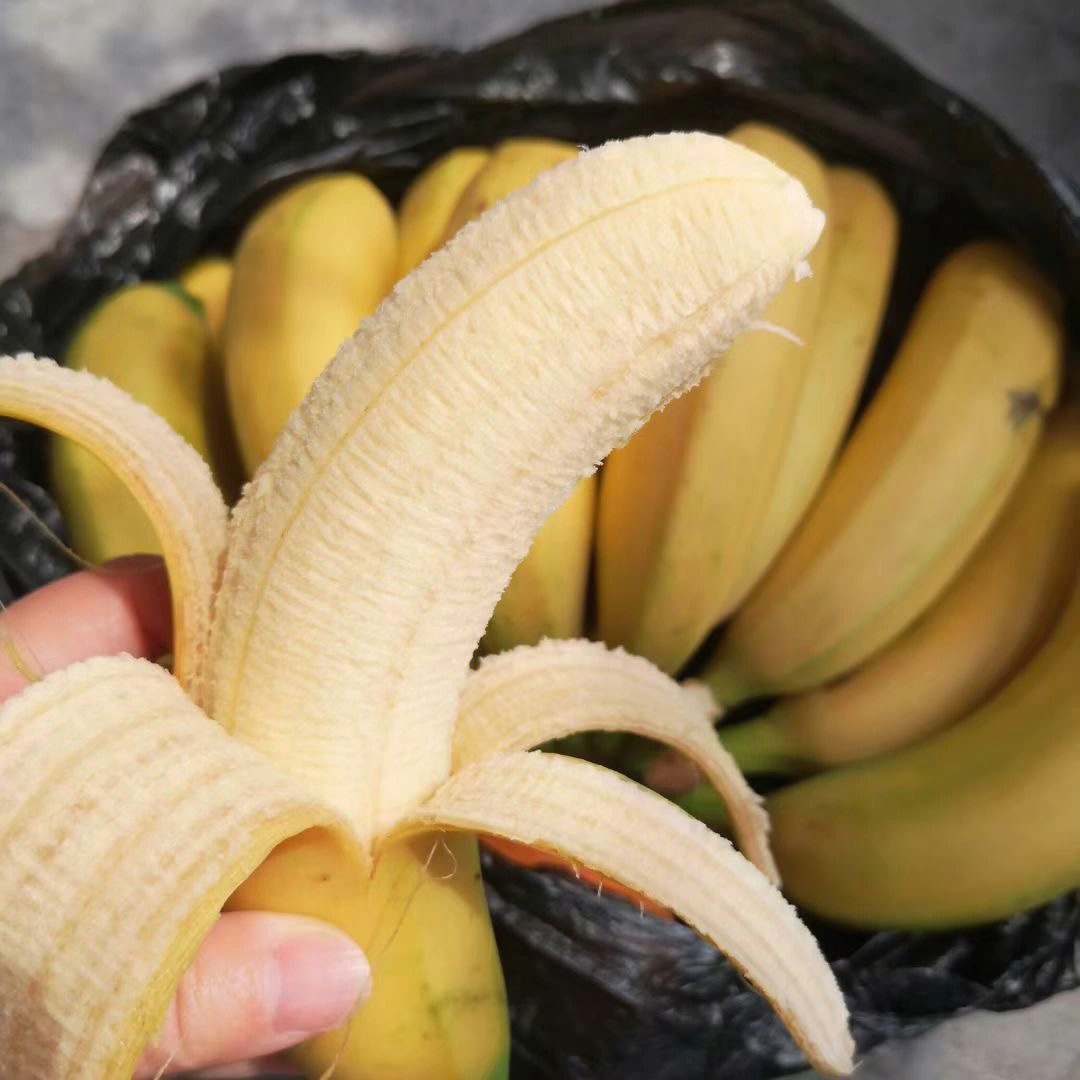 香蕉催熟过程你见过吗