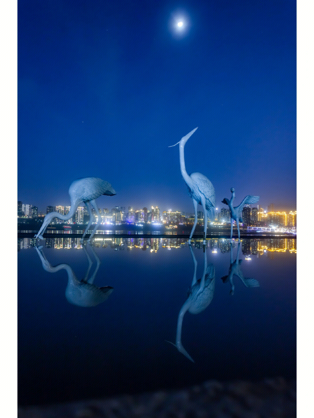 重庆南岸大鱼海棠公园图片