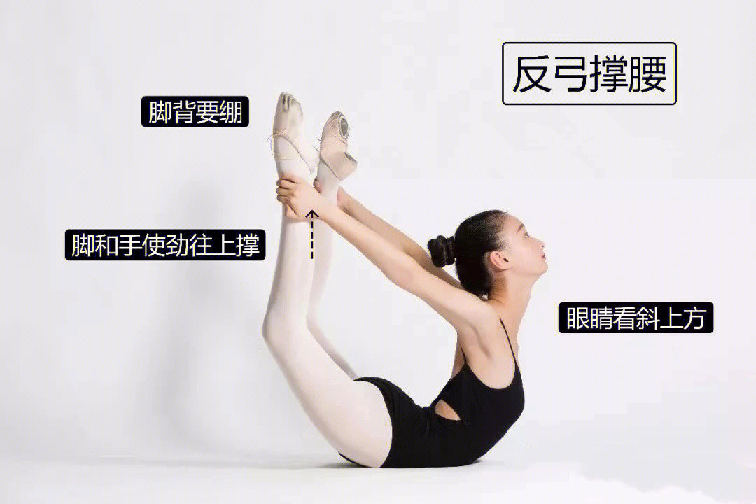 中国舞基本功训练图解图片