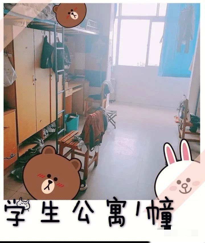 大理大学学生宿舍图片