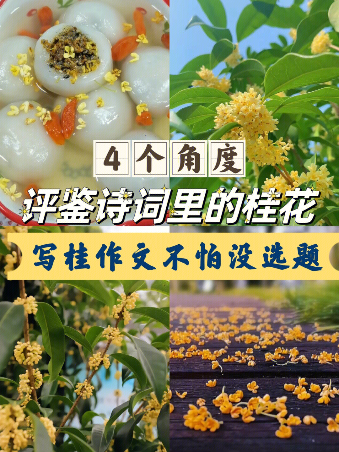 诗词里的桂花清香典雅作文素材积累收藏