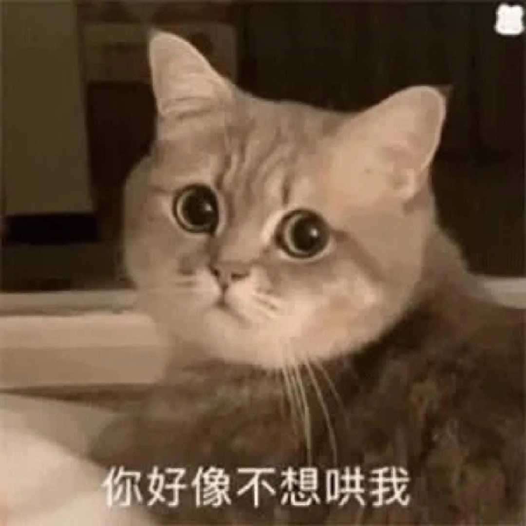 猫猫表情包 刺激啊图片