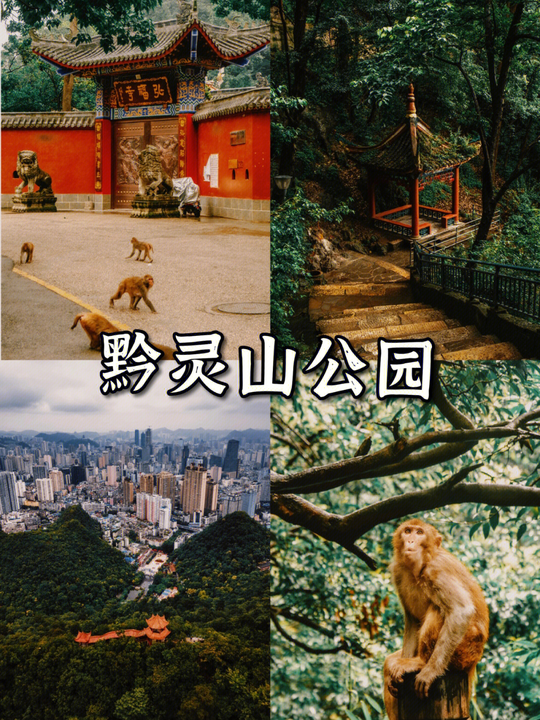 贵阳黔灵山公园门票图片