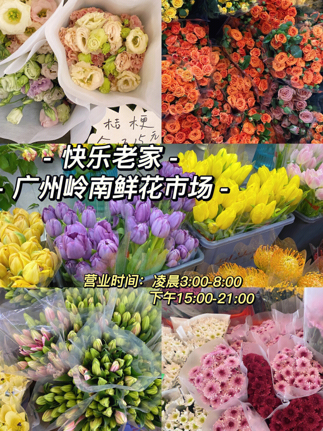 广州岭南鲜花市场b区全是卖鲜切花的,我今天是坐公交车去的969路车