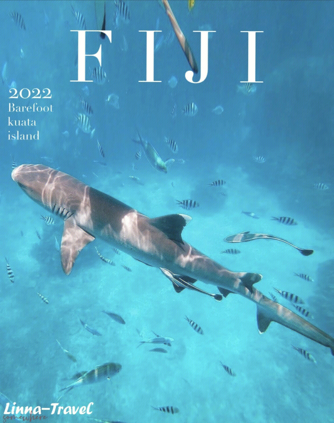 斐济barefootkuata岛与鲨鱼浮潜超体验