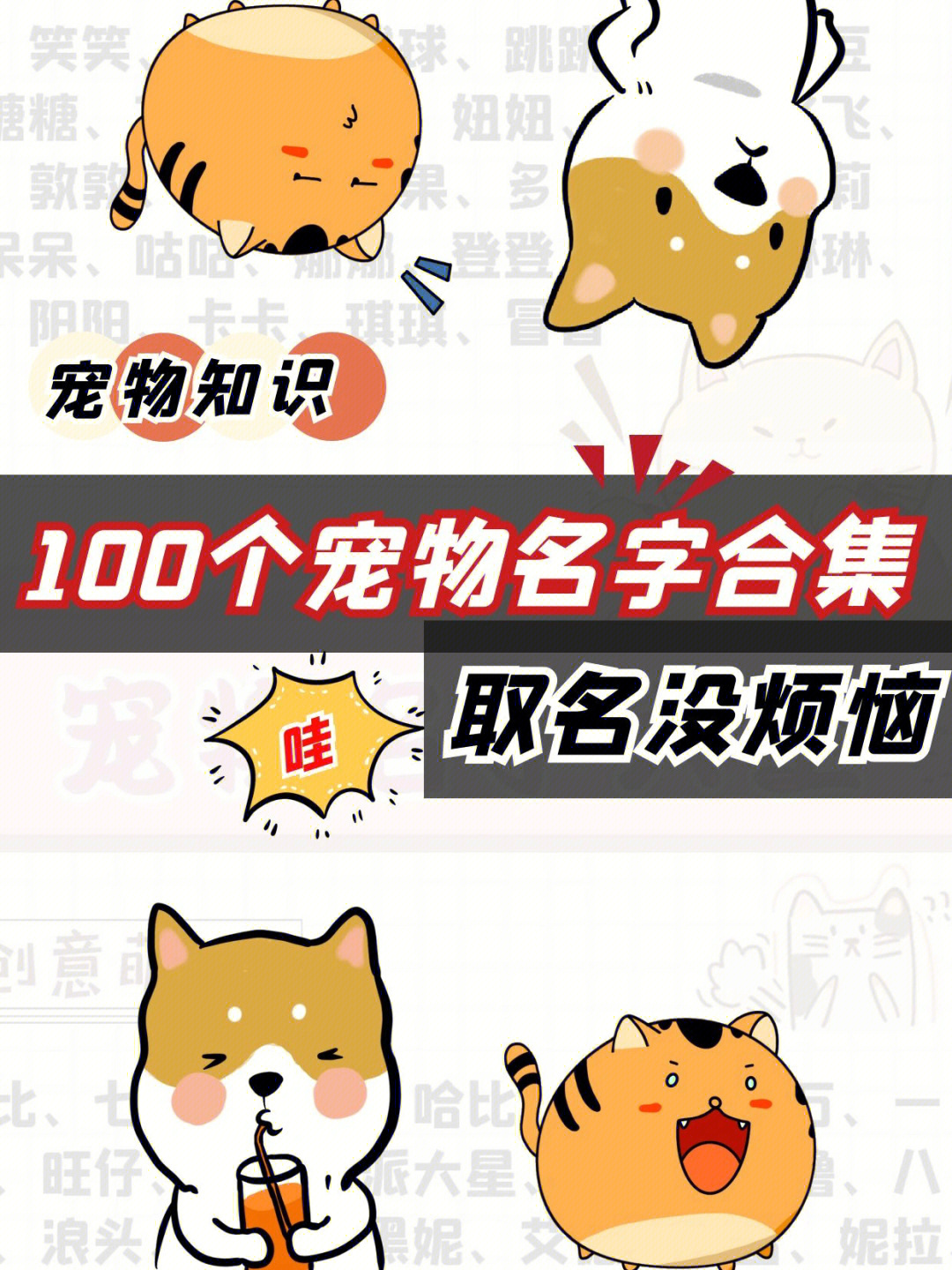 100多个宠物名字60猫咪狗子取名大全