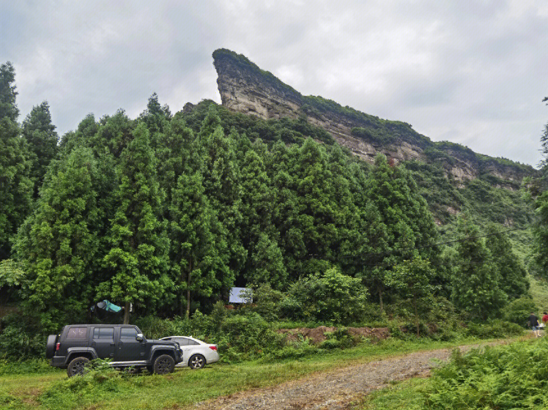 风吹岭露营基地图片