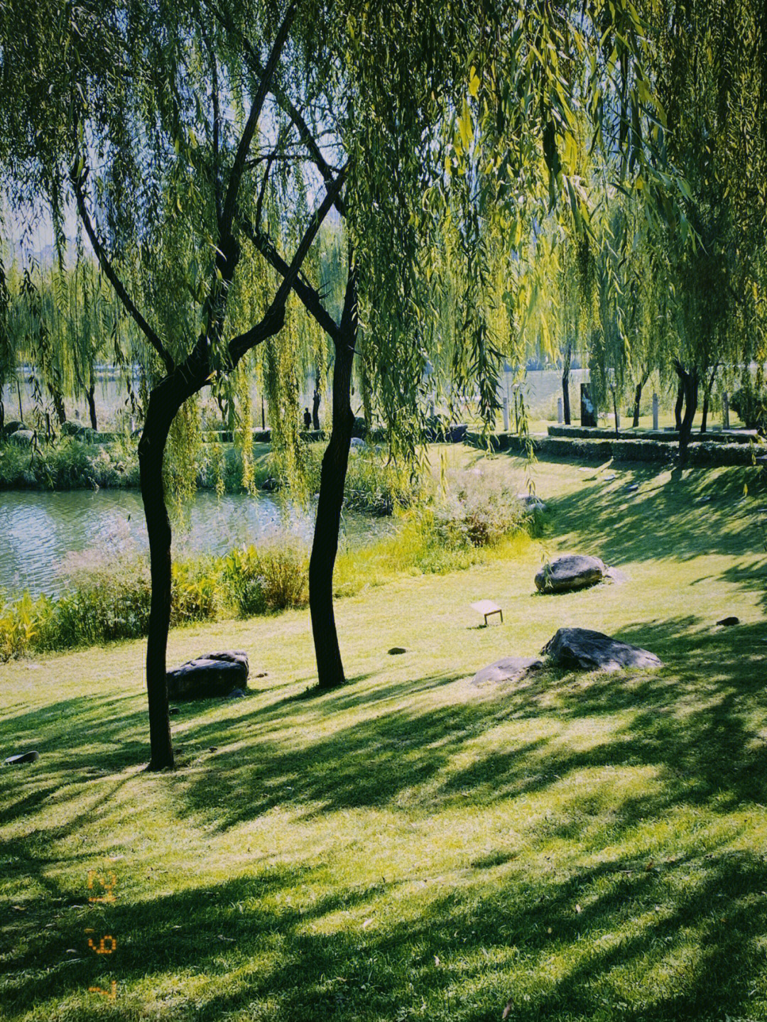 西安南湖公园图片
