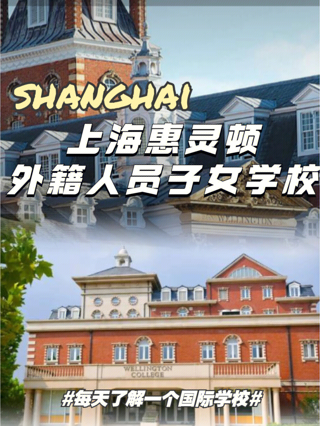 上海惠灵顿国际学校图片