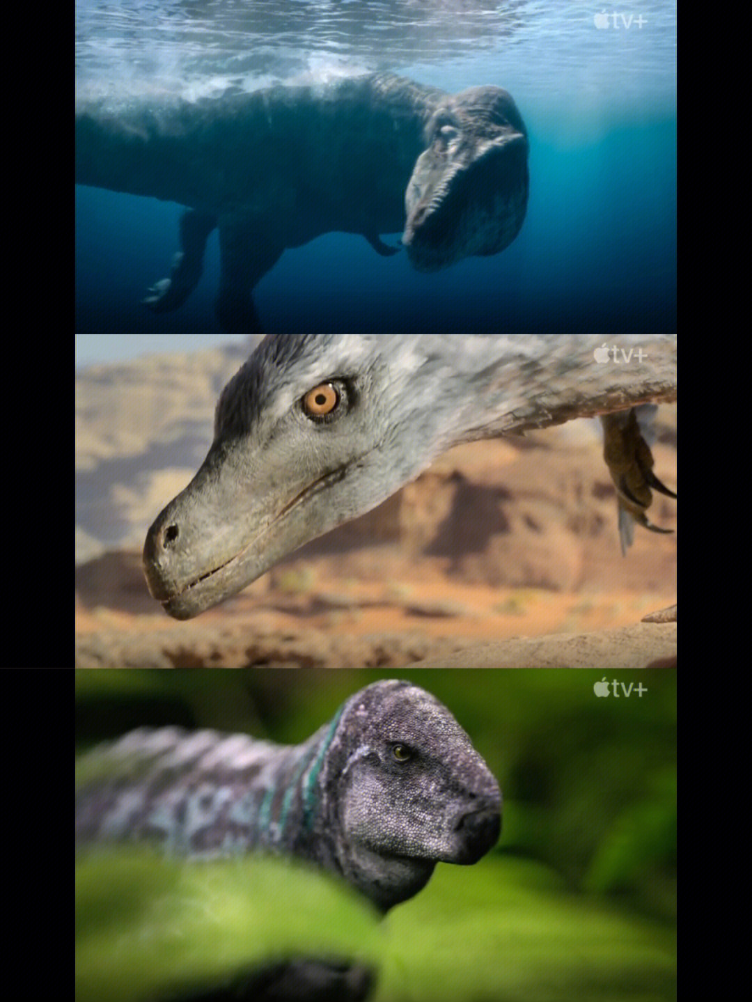 恐龙进化纪录片图片