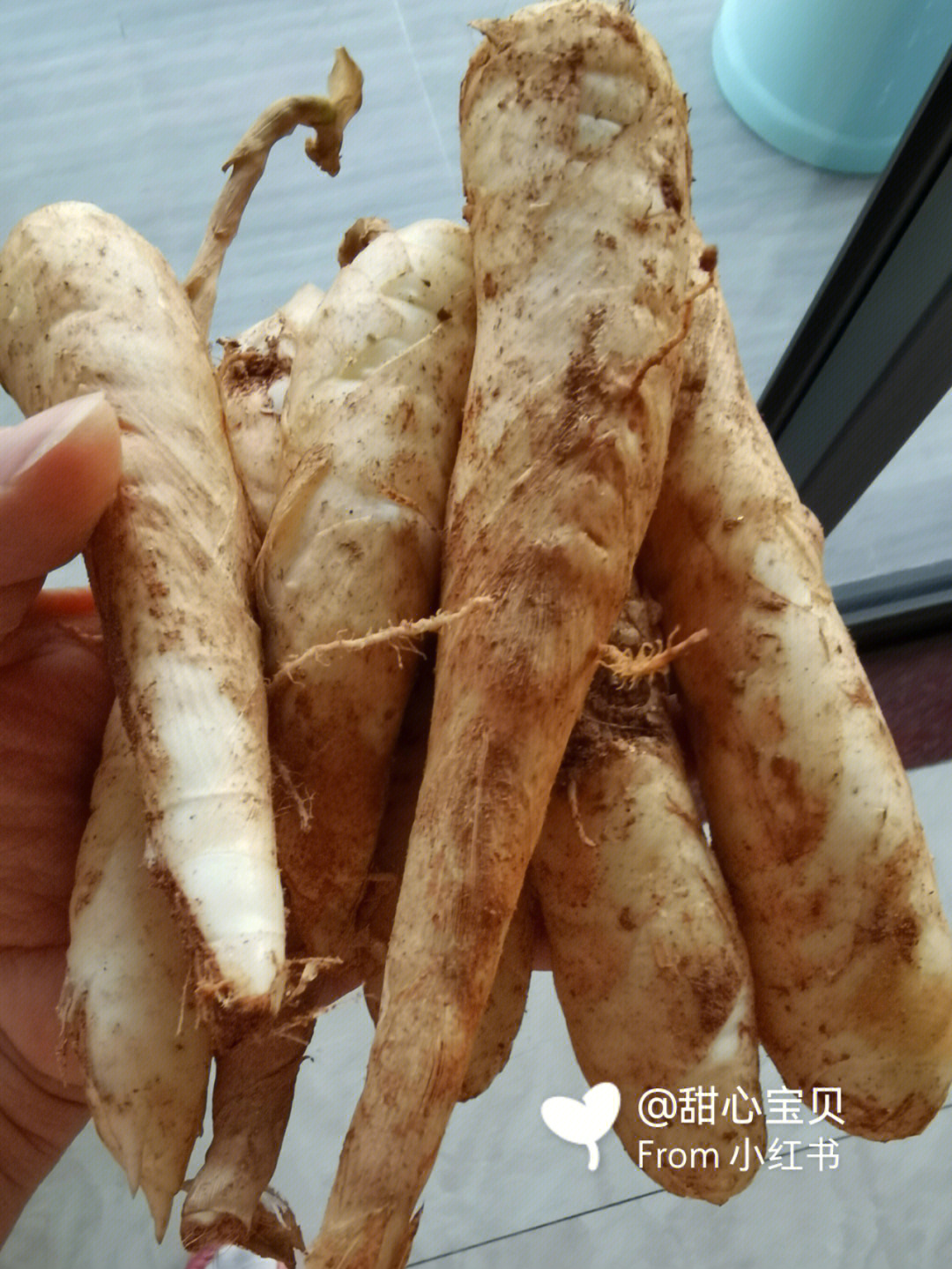 竹薯芡实祛湿汤