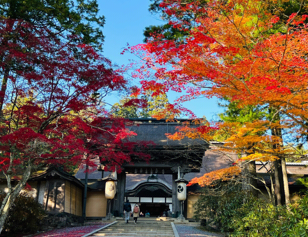 高野山图片