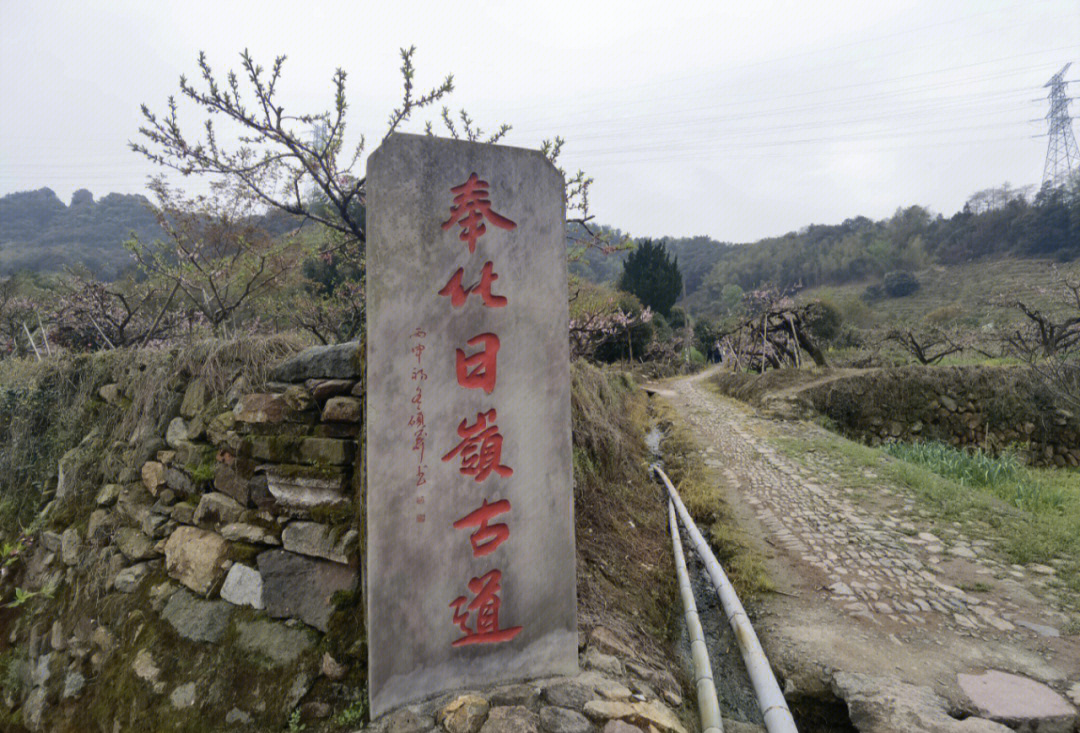 奉化曰岭古道