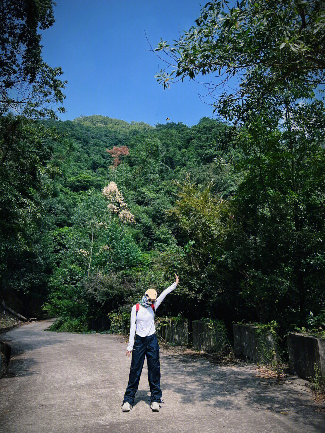 厦门天竺山简介图片