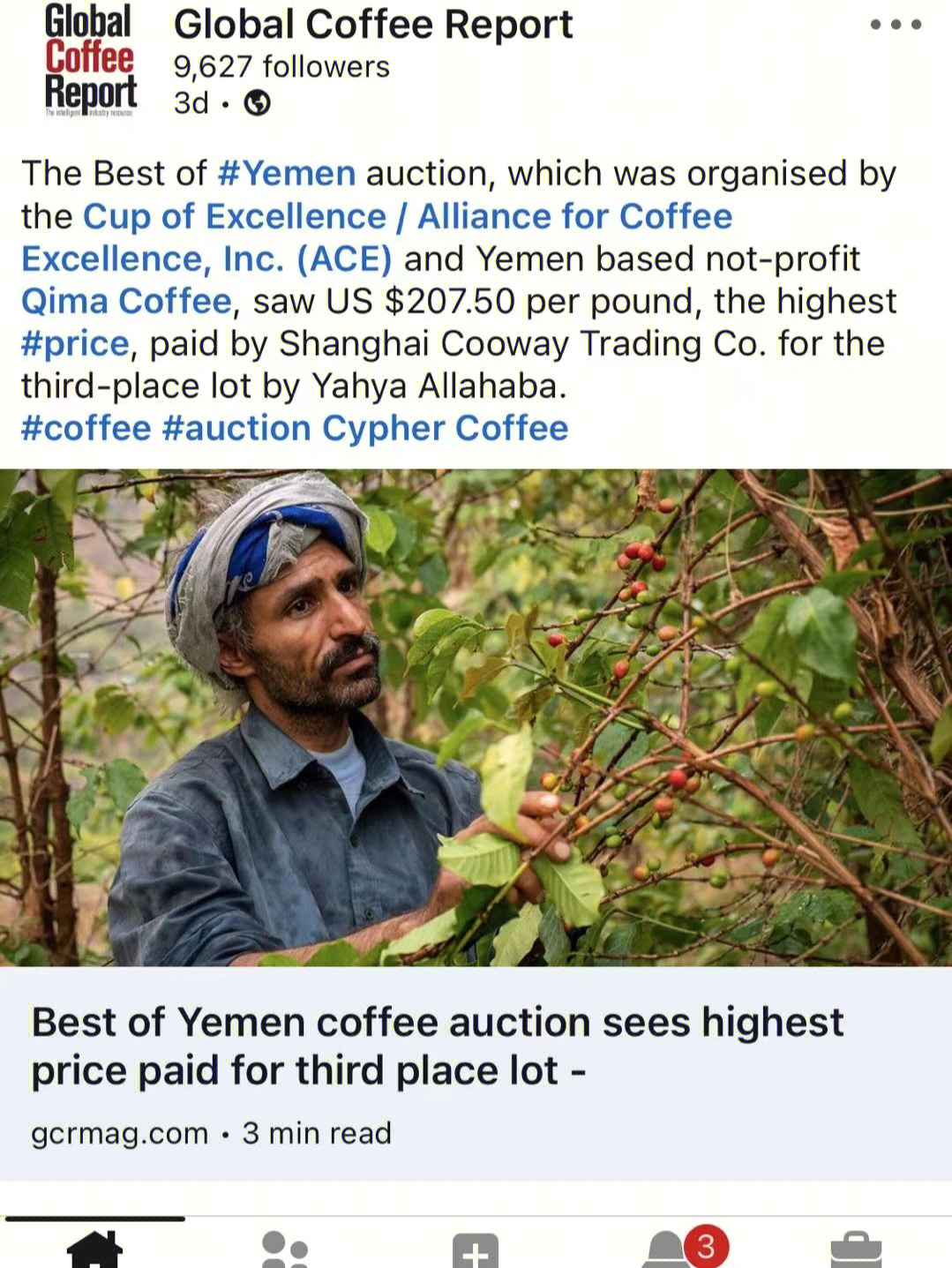 也门咖啡品种图片