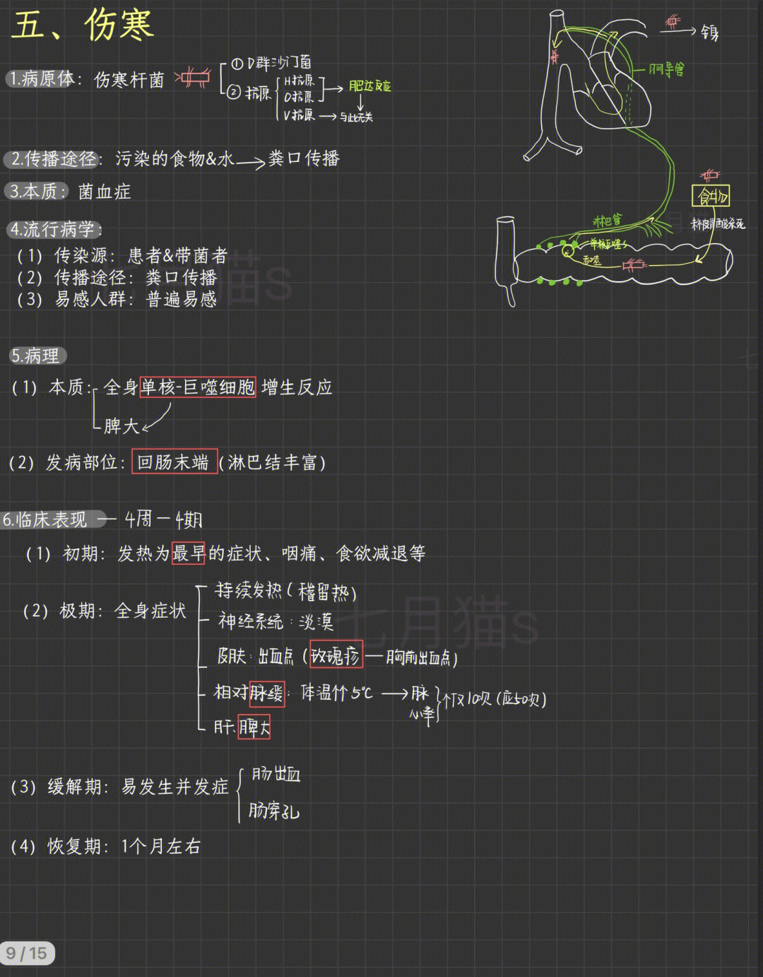 细菌性痢疾实验报告图图片