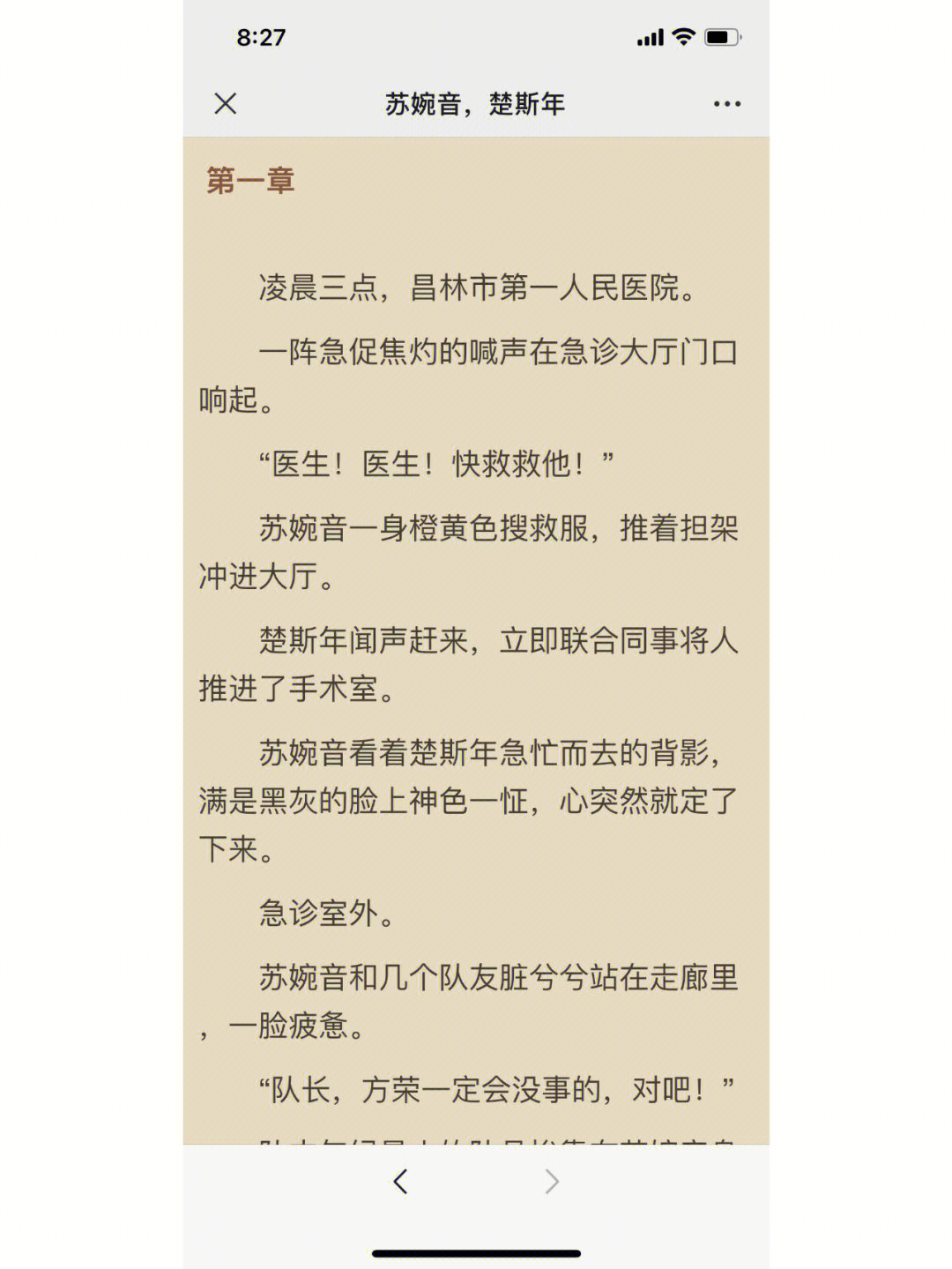 苏婉音楚斯年小说全文在线阅读txt