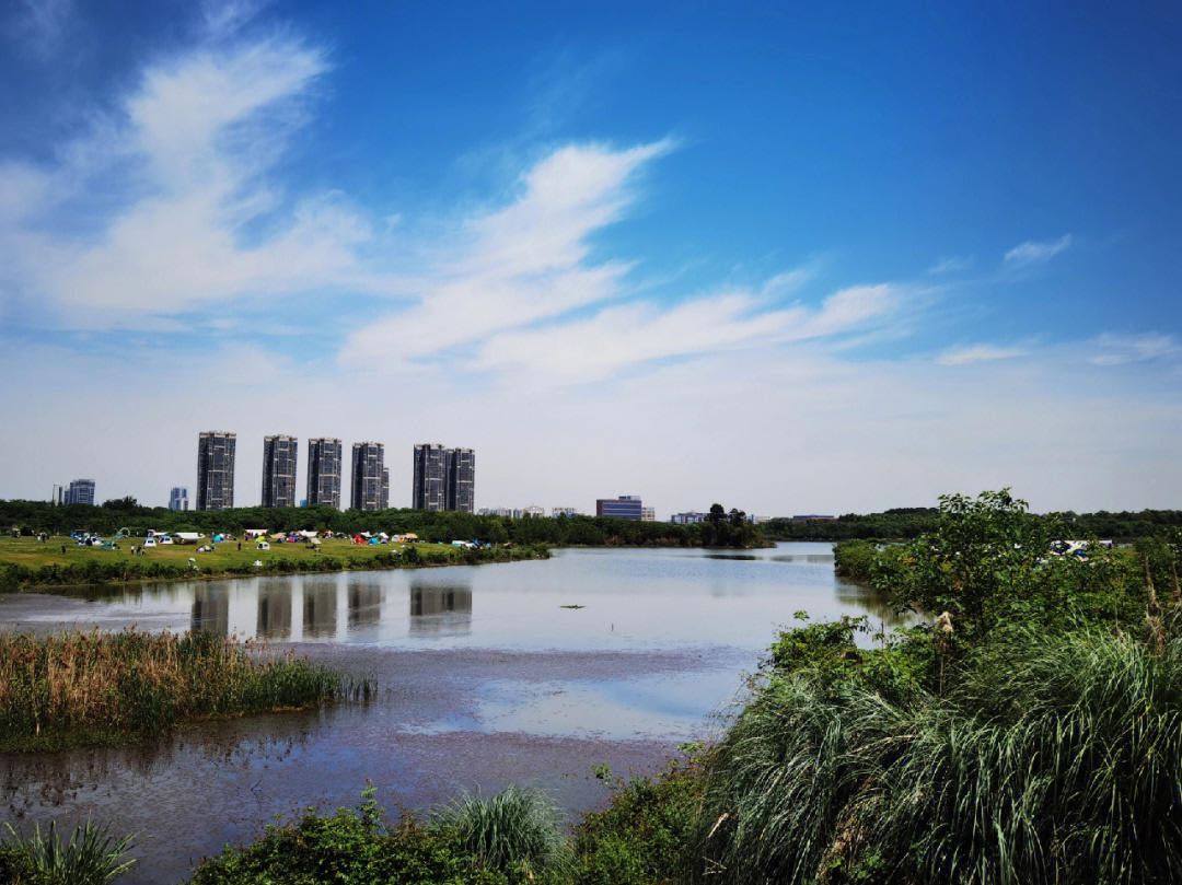 成都青龙湖三期规划图图片