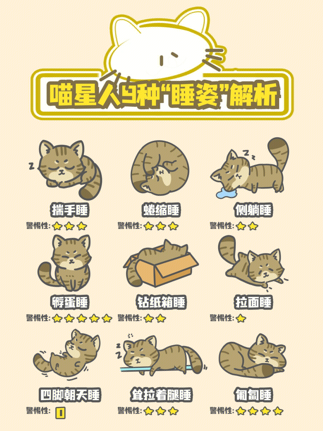 猫咪的966种睡姿解析60养猫必看