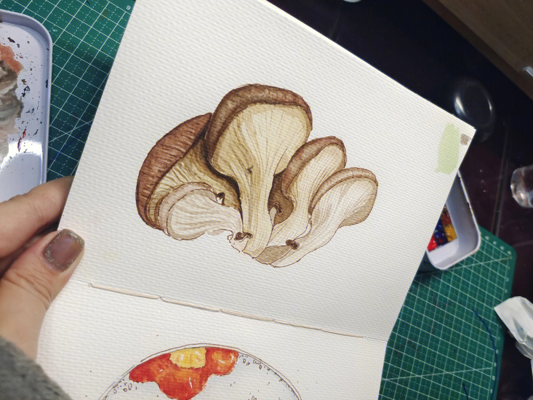 自学钢笔淡彩写生蘑菇篇带步骤