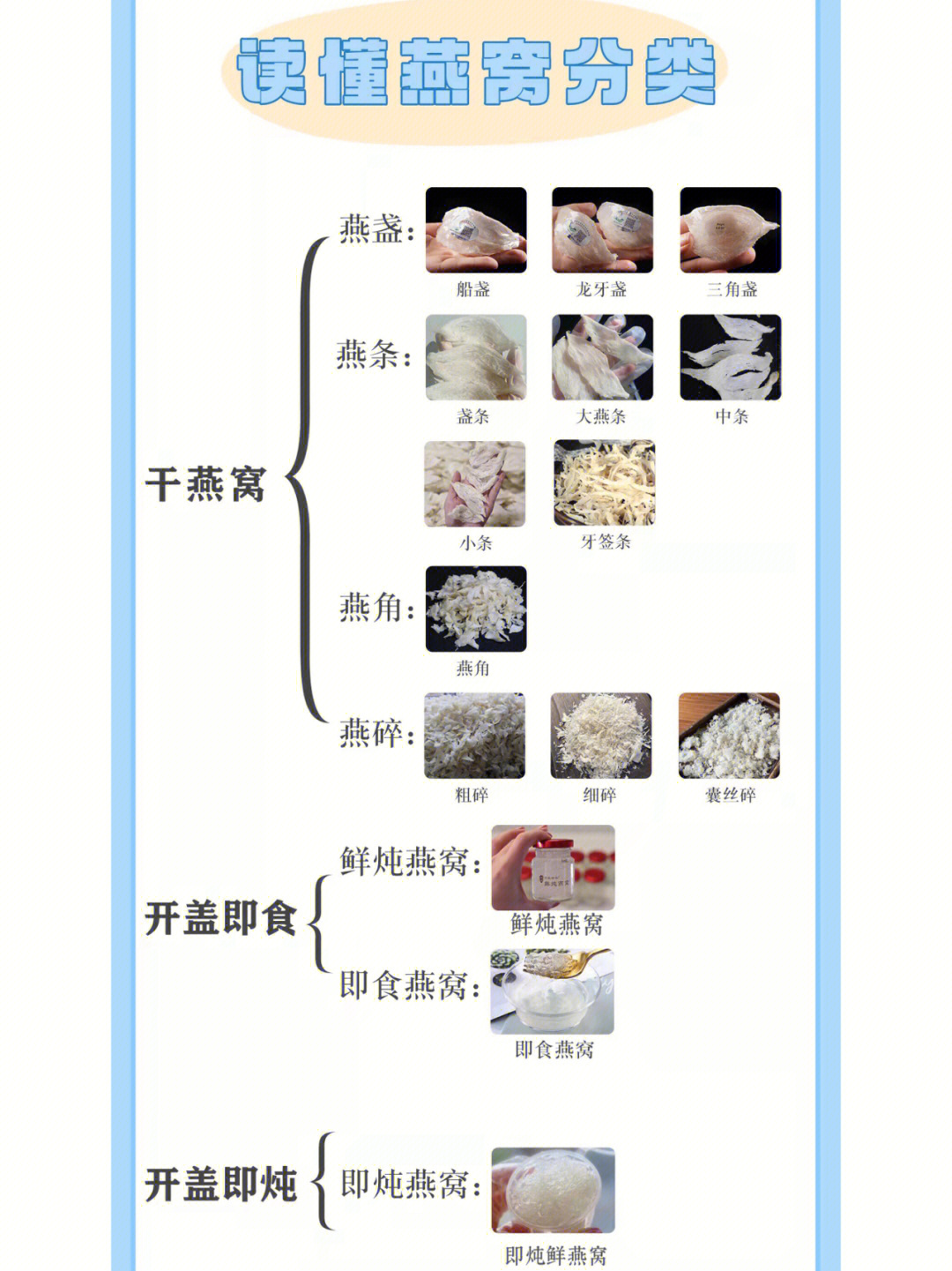 燕窝如何形成的图片