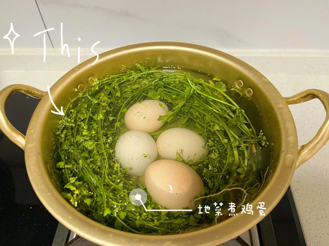 荠菜煮鸡蛋卡通图片图片