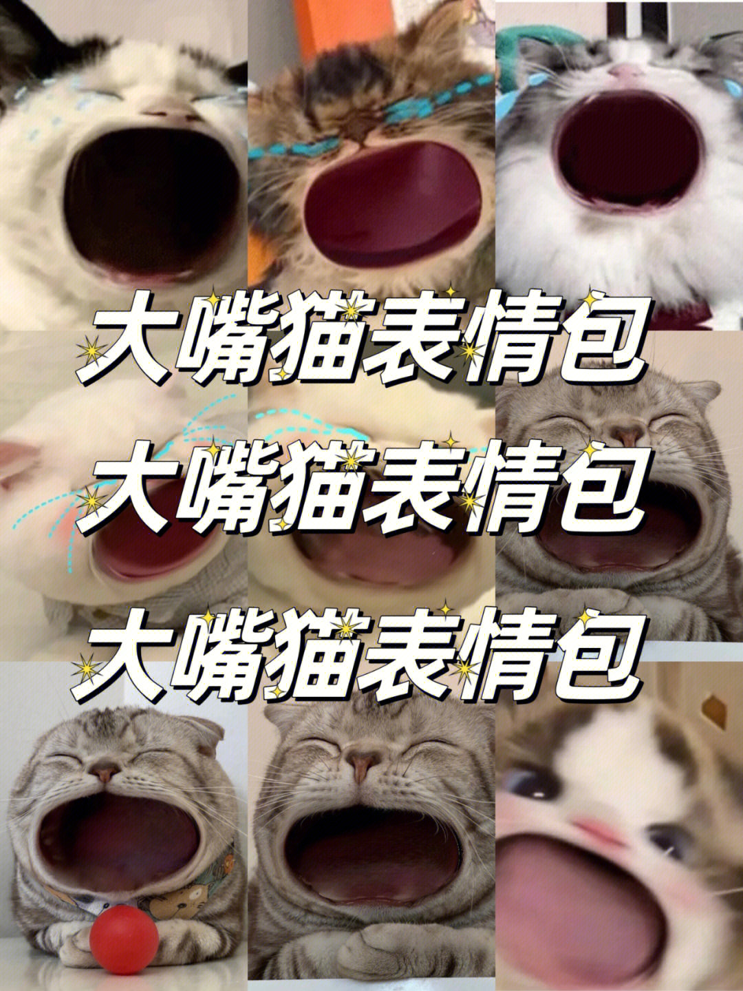 大嘴猫表情包