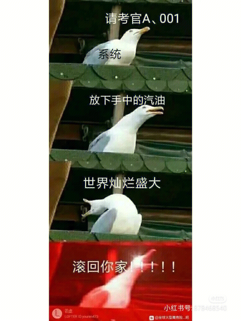 全球高考表情包图片