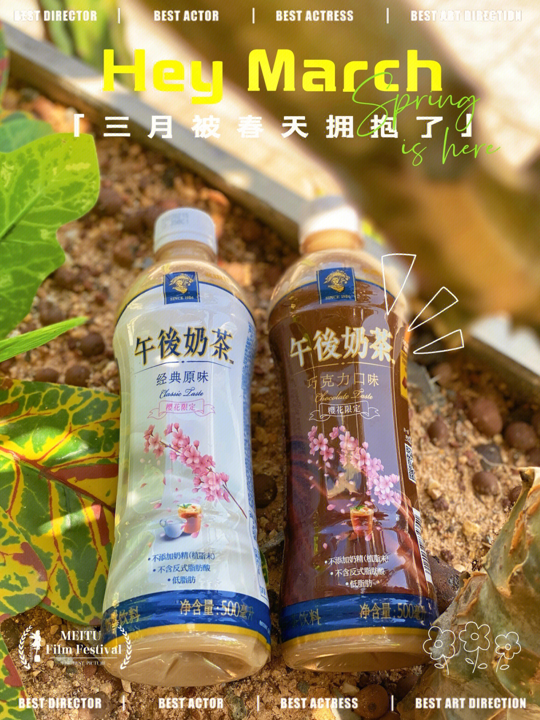 春天的第一杯奶茶图片图片