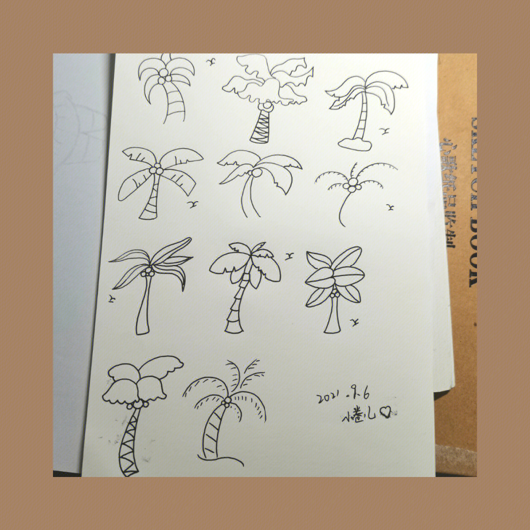 手绘椰子树线稿图片