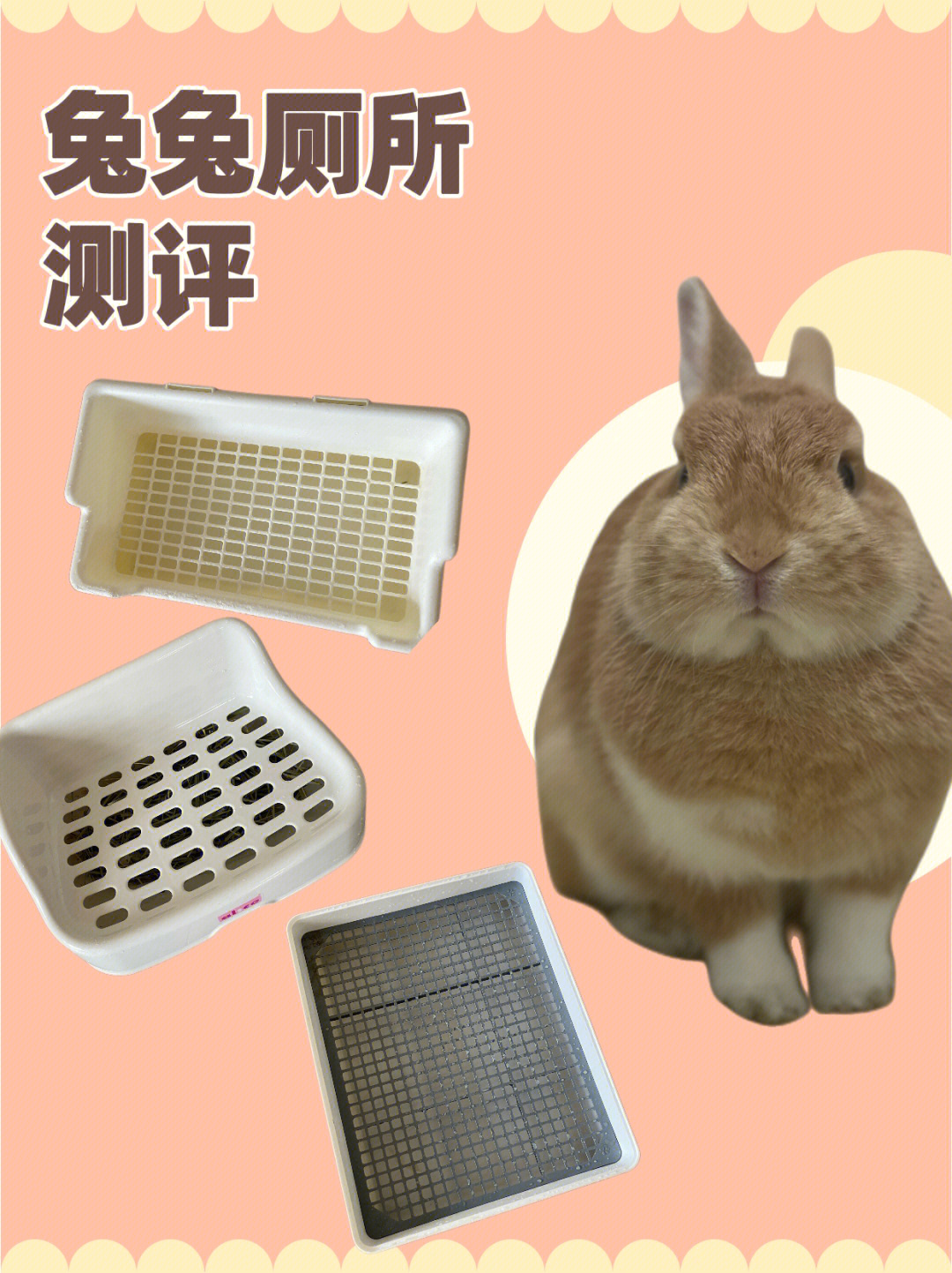 自制兔子厕所步骤图图片