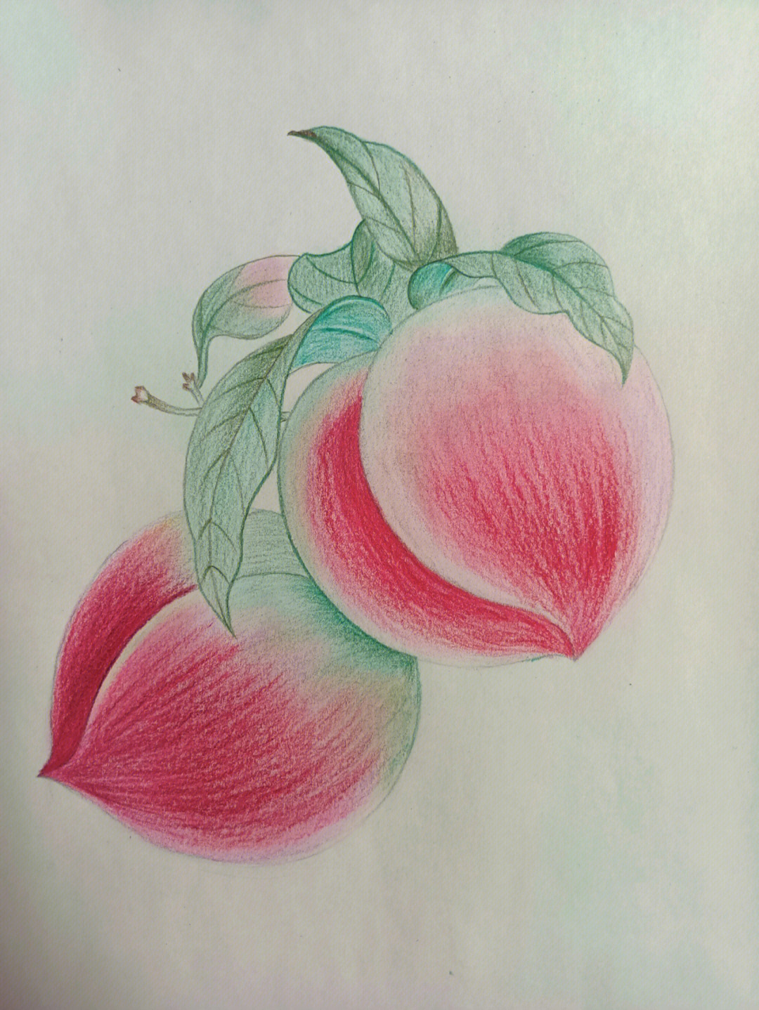 桃子的素描画法步骤图图片
