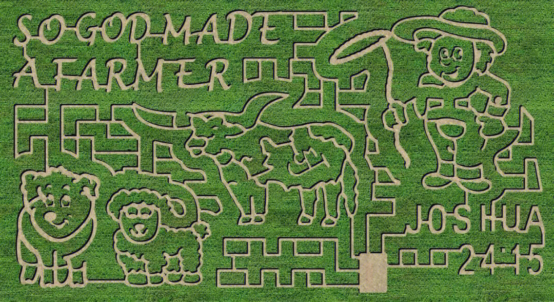 玉米迷宫设计图图片