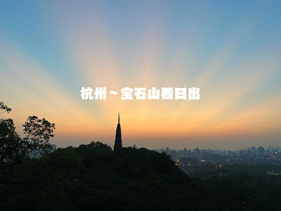 杭州宝石山背阴树图片
