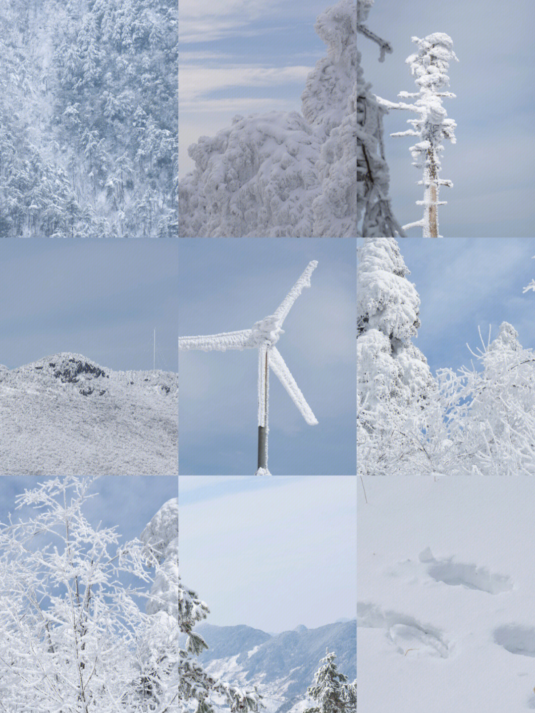 杭州雪景之临安百丈岭