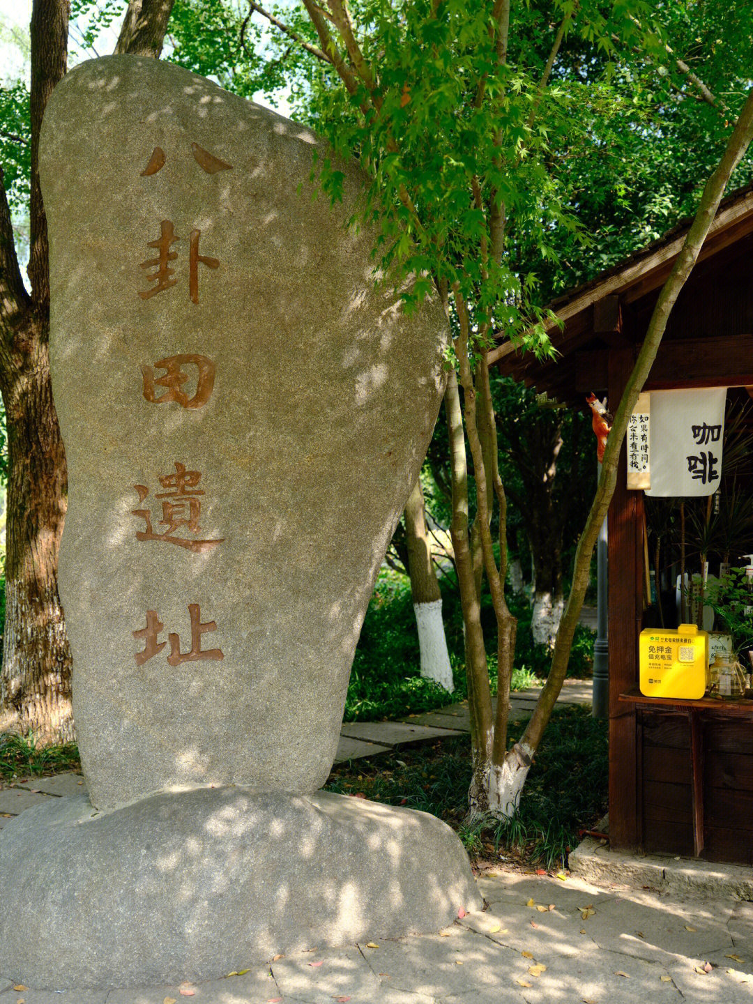 杭州八卦田遗址公园半日游