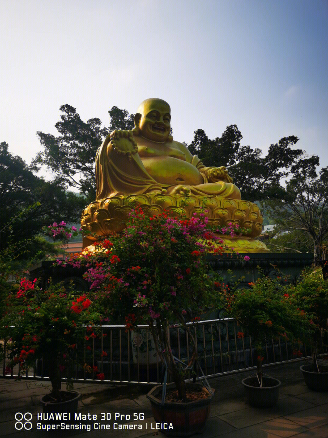 顺德宝林寺简介图片