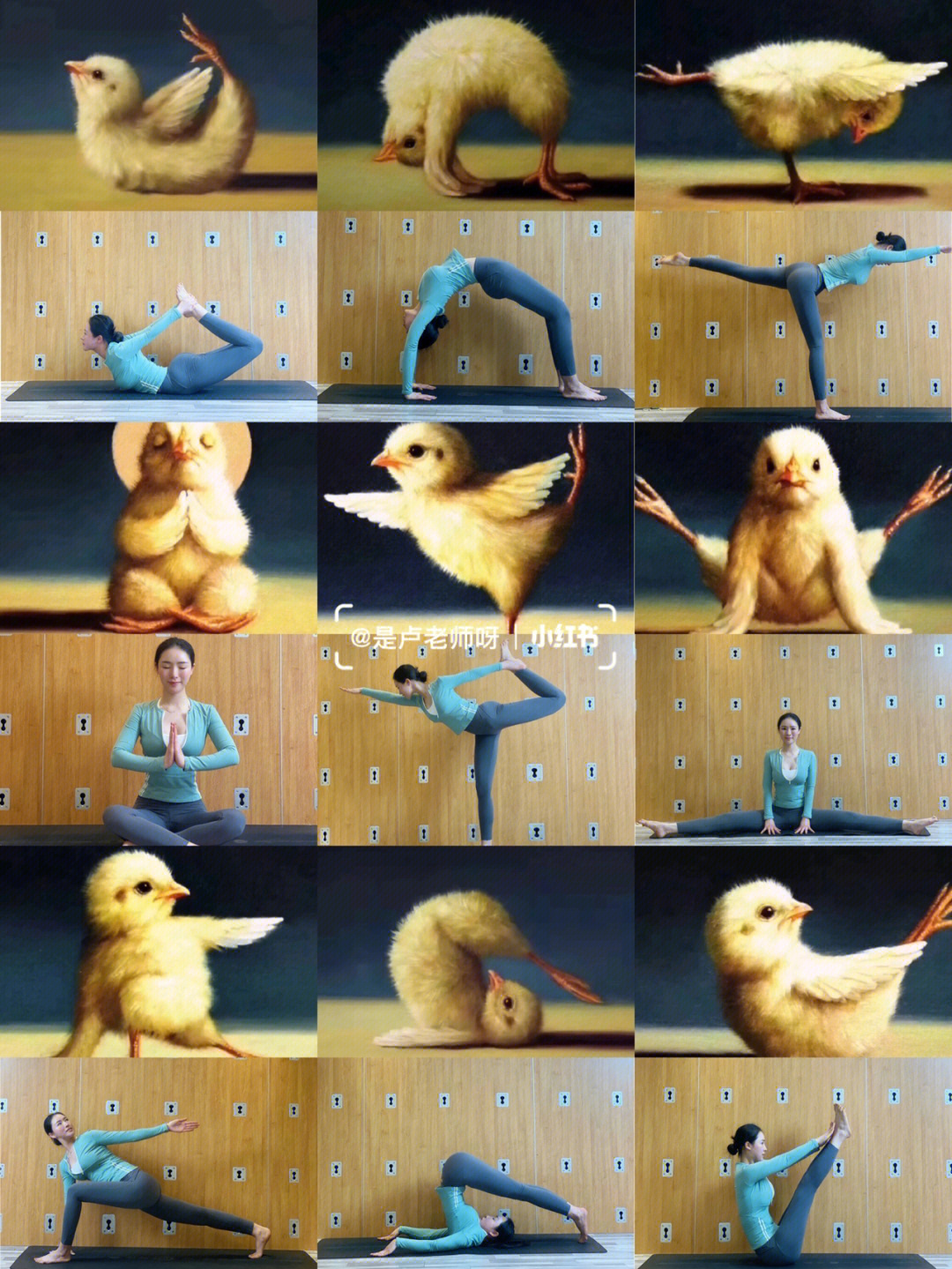 挑战快来模仿超可爱的瑜伽小鸡