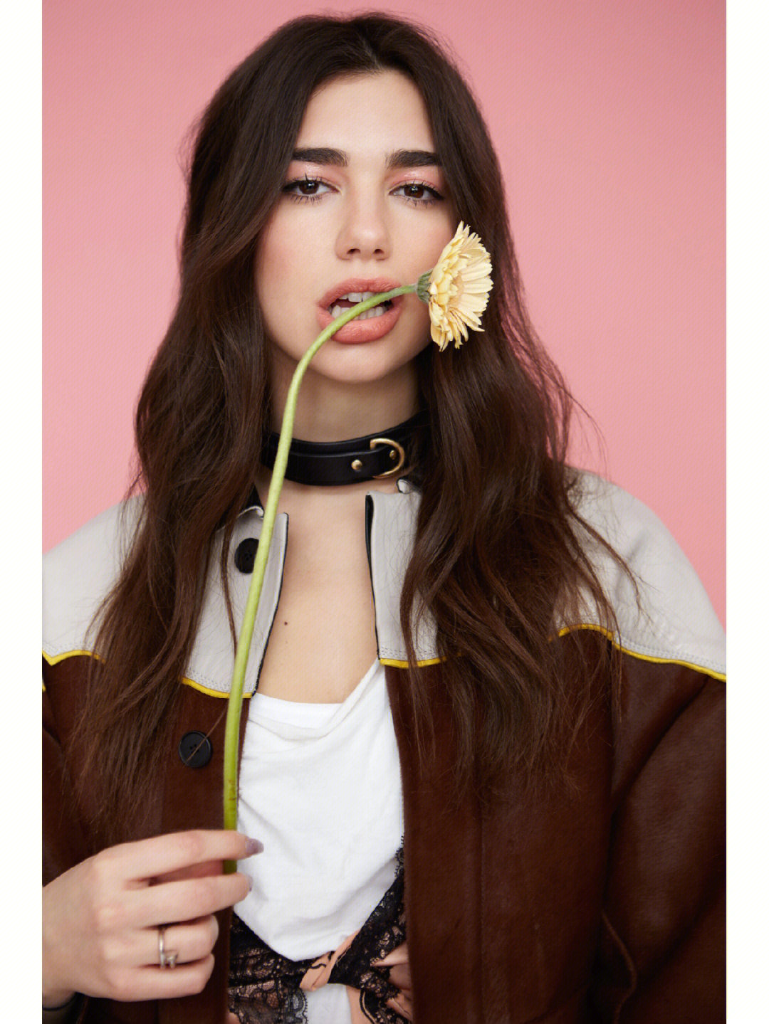 dualipa