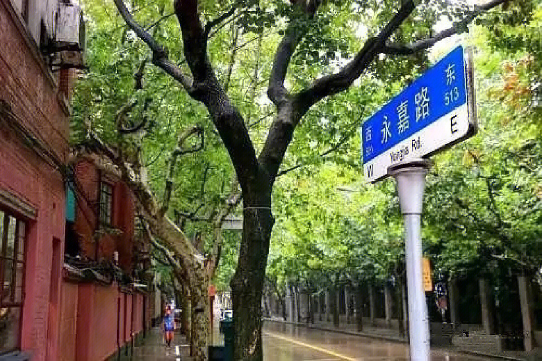 青岛永嘉路图片