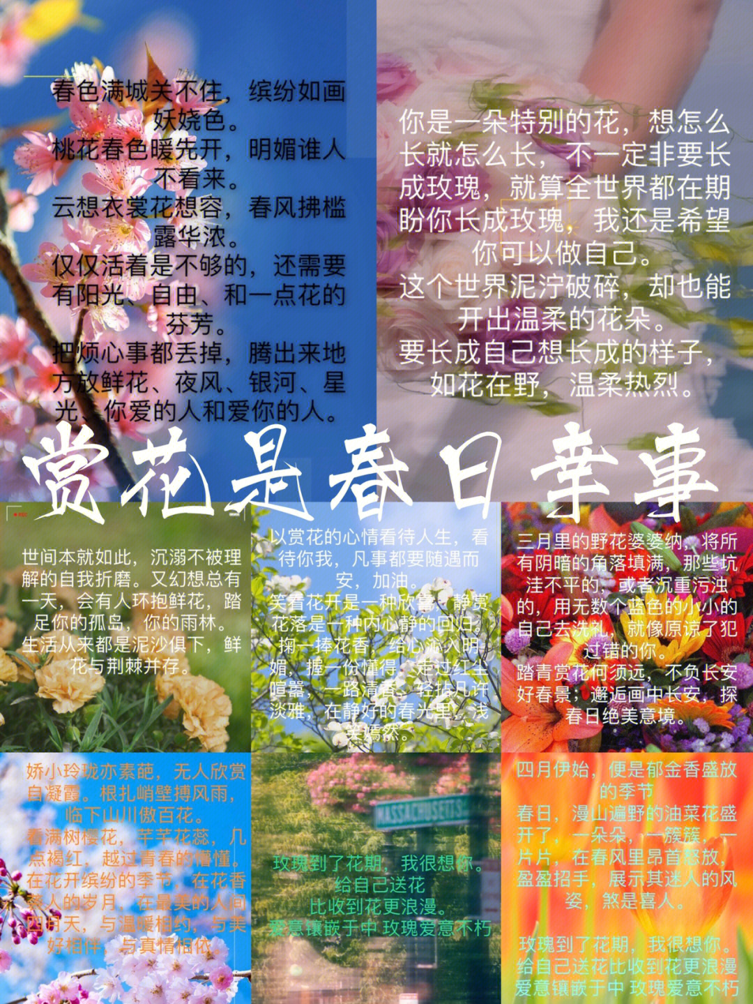 赏花节文案图片