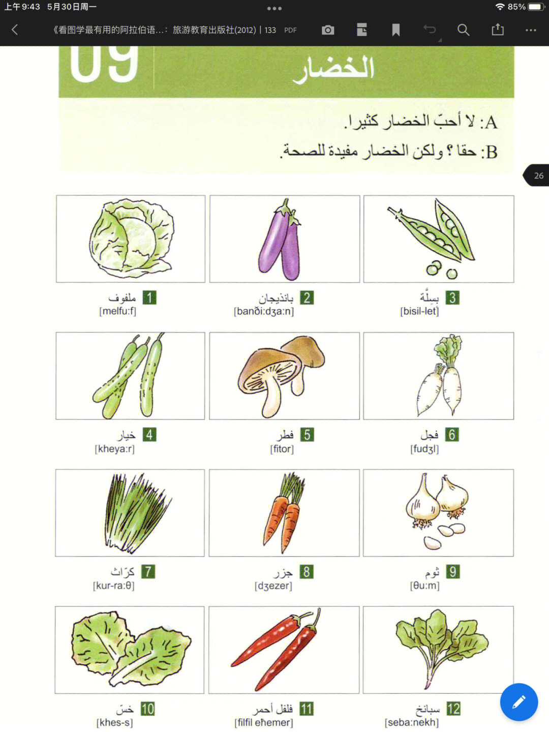 阿拉伯文拼读图片