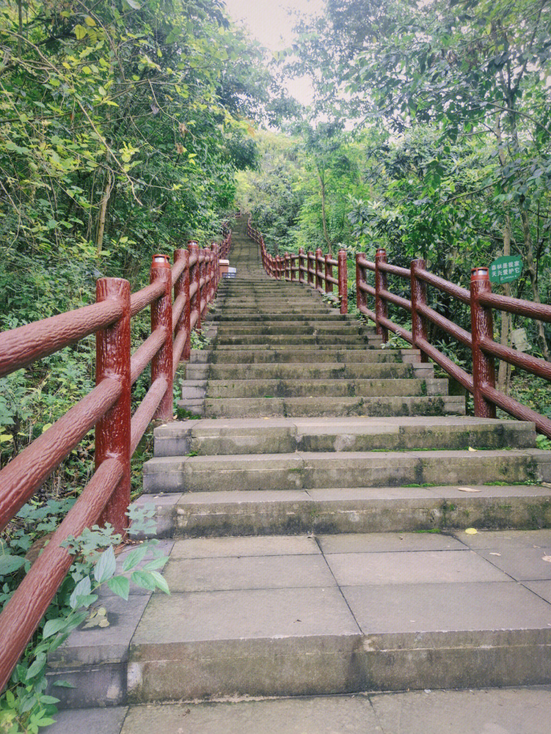 钟家山森林公园图片