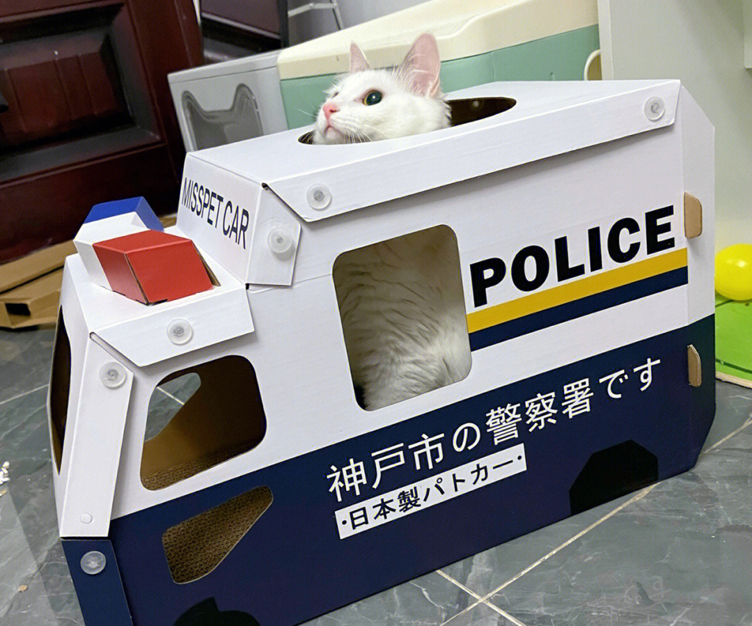 猫咪开警车表情包图片