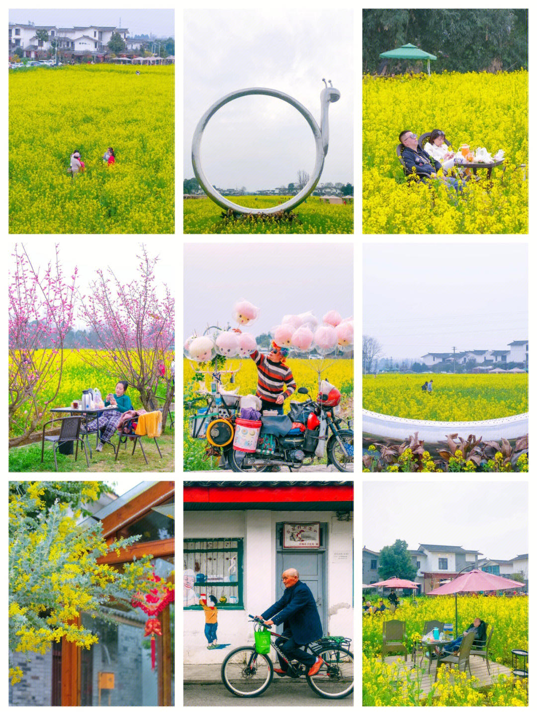 祟州五星村,挨着桤木河湿地公园,可以在花海里晒太阳,喝茶,吃火锅