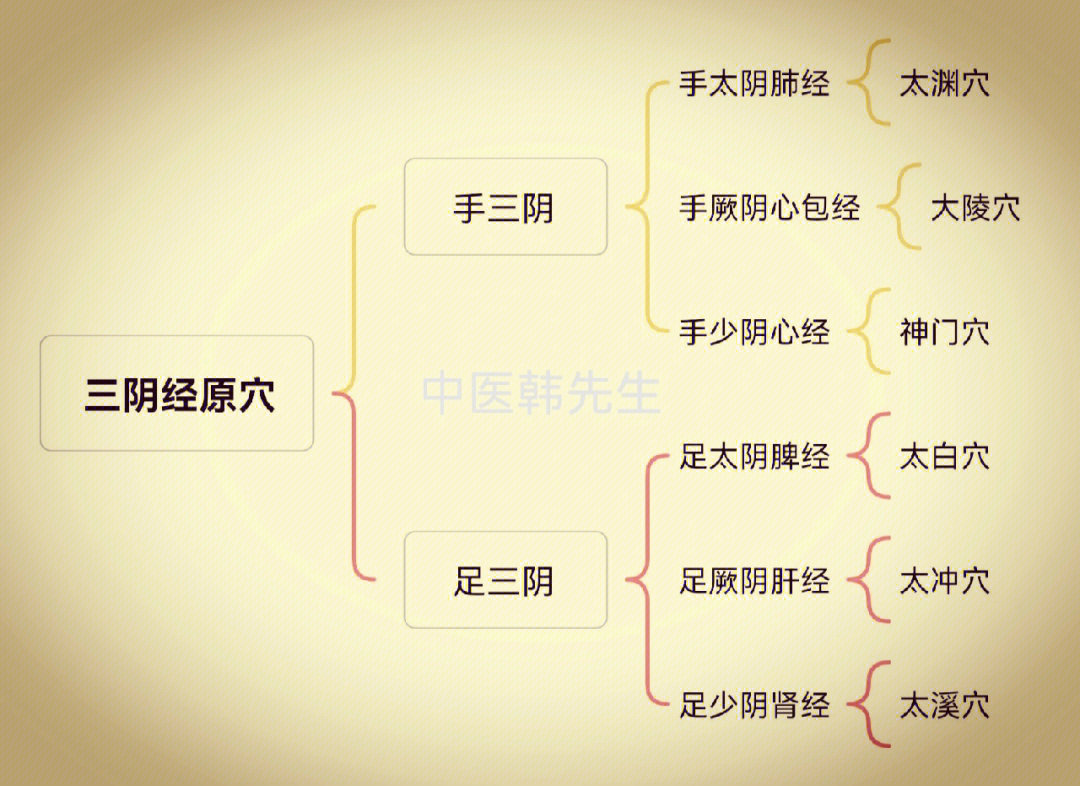 脾经…太白穴足少阴肾经…太溪穴足厥阴肝经…太冲穴#中医养生