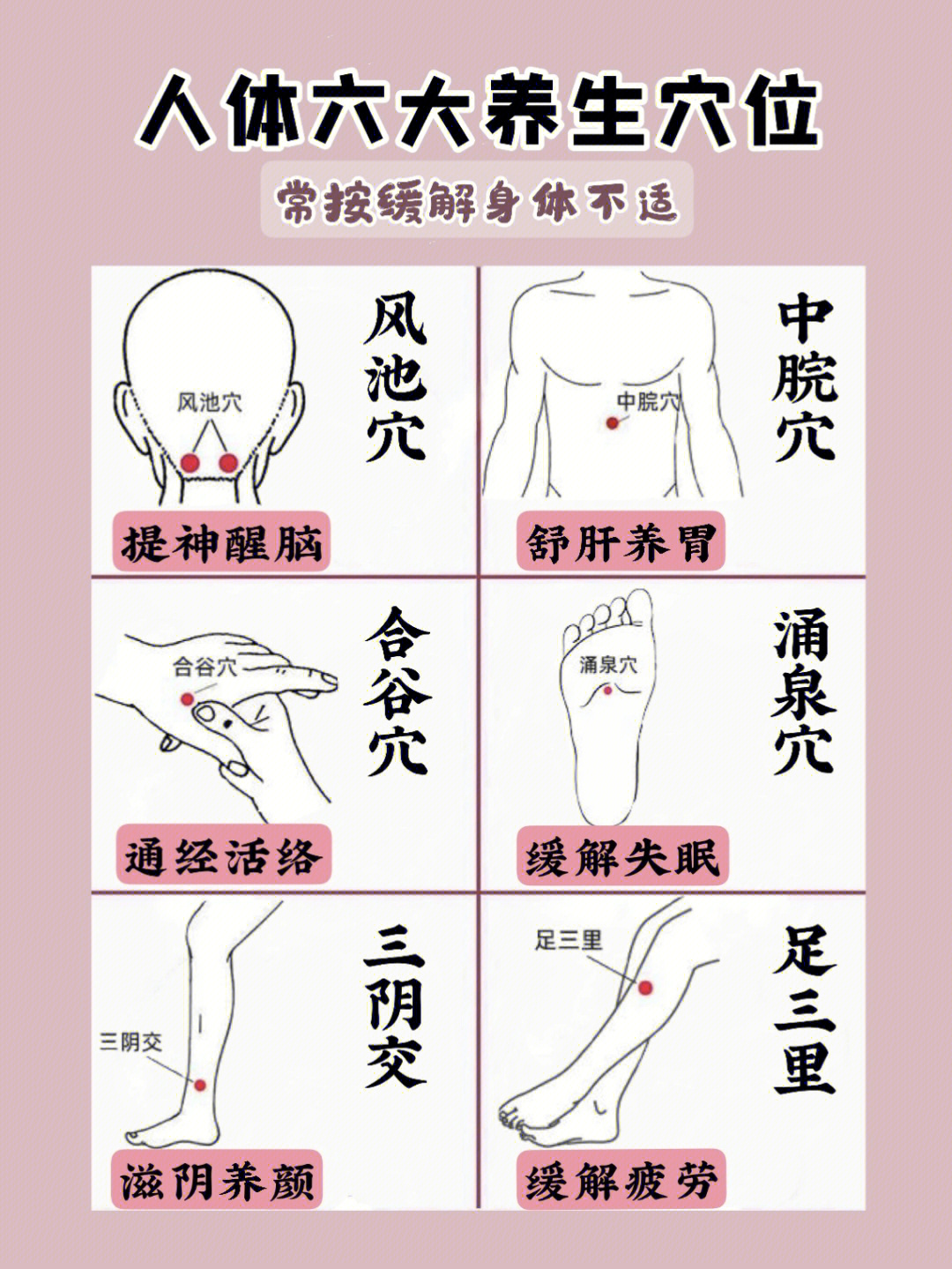 人体六大养生穴位73常按缓解身体不适60