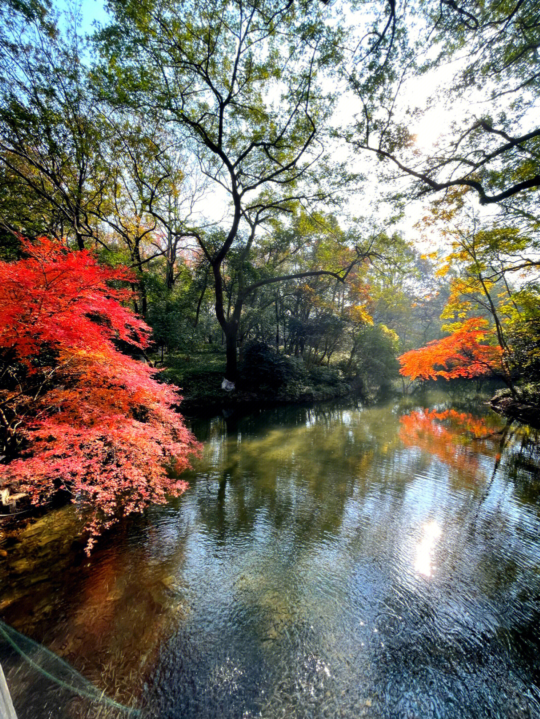 杭州西湖秋天美景